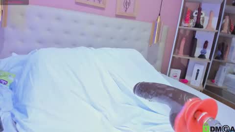 Emily Sarai online show from November 12, 2025, 8:08 pm