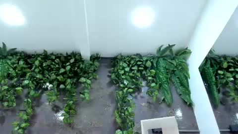 Snapshot of emiily_smile chatting on July 28, 2026, 12:48 pm Emily online show from July 28, 2026, 12:48 pm