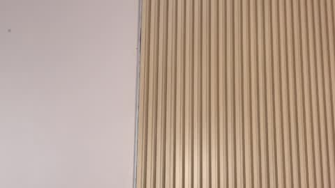 Snapshot of emily_sweett12 chatting on April 3, 2026, 12:25 pm Emily online show from April 3, 2026, 12:25 pm