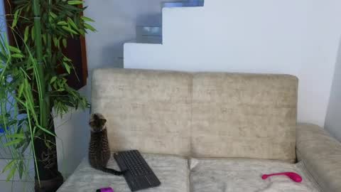 Snapshot of emma_blue_ chatting on October 20, 2025, 3:29 am Emma Blue  modelo independiente online show from October 20, 2025, 3:29 am