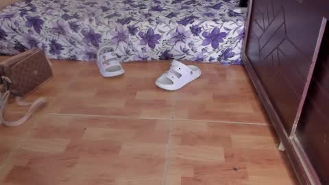 whises lits        online show from October 23, 2025, 2:16 pm