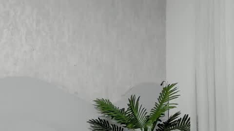 Emma Morgann online show from February 25, 2026, 11:20 am