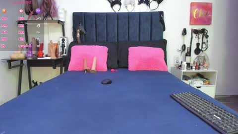          online show from February 27, 2025, 11:52 am