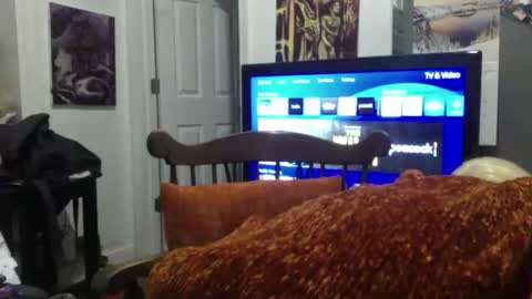 empusalamia online show from January 25, 2025, 9:57 am