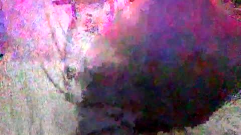 Snapshot of enjooythenut chatting on January 18, 2025, 2:33 pm Batman online show from January 18, 2025, 2:33 pm