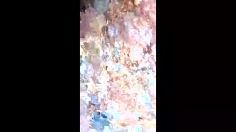 esteralcantara online show from February 9, 2026, 5:50 pm