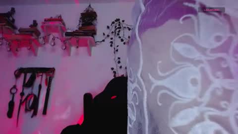 Snapshot of eve_blue77 chatting on February 19, 2026, 2:29 am Eve Blue friends. IG eve blue77 TW EveBlue 1 OF eveblue7 online show from February 19, 2026, 2:29 am