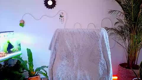 Im Eve or Chelle Next Stream 191224  online show from May 2, 2026, 4:56 pm
