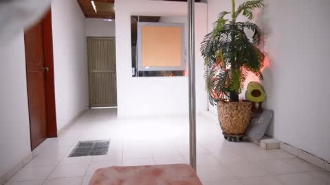 evelyn evelyn online show from April 3, 2026, 7:01 pm