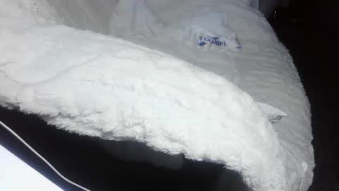 Snapshot of everlasthu chatting on February 9, 2025, 1:44 am everlasthu online show from February 9, 2025, 1:44 am