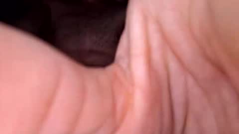 Exhibboytoy3 online show from March 24, 2026, 7:24 am