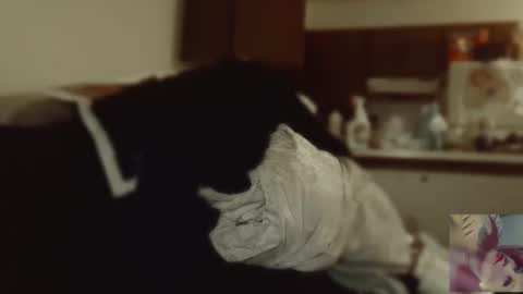 Snapshot of exoticlexi chatting on September 9, 2025, 8:08 pm Exoticlexxii online show from September 9, 2025, 8:08 pm