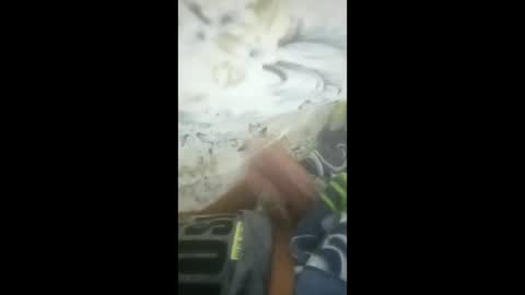 eypqrpyisagh online show from March 25, 2026, 8:26 pm