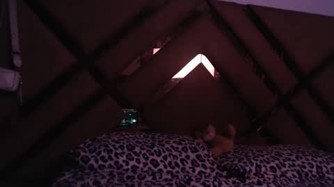 eyshaexotii online show from March 18, 2026, 12:14 am