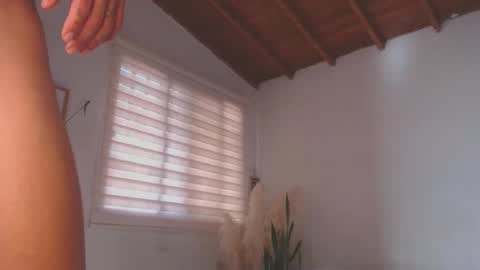 -  A N D E R online show from January 11, 2025, 8:32 pm