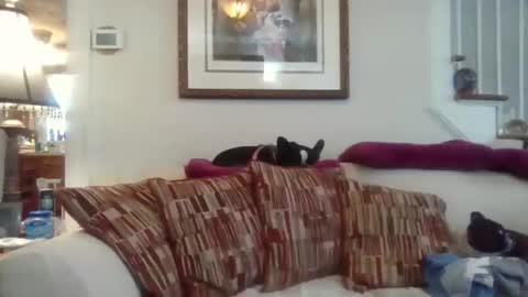 fairmount31 online show from November 12, 2025, 4:51 pm