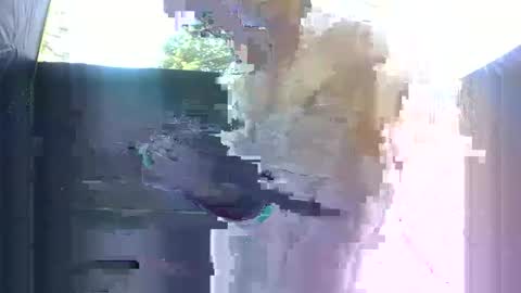 Snapshot of famousmaddyhazetv chatting on October 21, 2025, 12:00 am Maddy Haze online show from October 21, 2025, 12:00 am