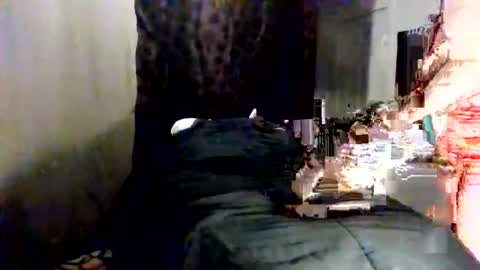 Snapshot of fancie8 chatting on June 8, 2026, 10:54 pm Fancie8 online show from June 8, 2026, 10:54 pm