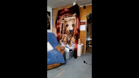 Scarlett online show from February 10, 2026, 7:23 am