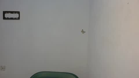 Snapshot of fariha_babyy chatting on May 16, 2026, 8:00 am Fariha online show from May 16, 2026, 8:00 am