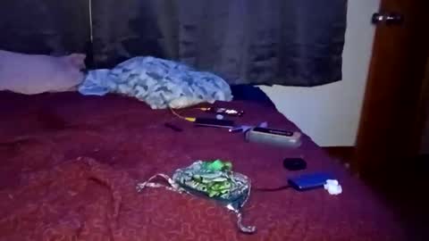 Snapshot of feetandmeat420 chatting on October 29, 2025, 9:33 am feetandmeat420 online show from October 29, 2025, 9:33 am