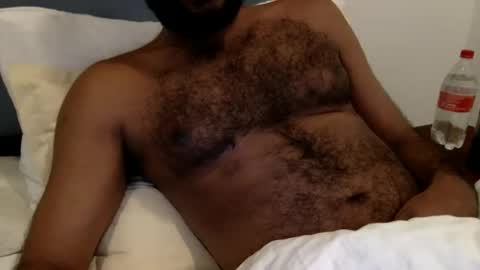 HairyBrownGuy online show from January 8, 2026, 6:43 pm