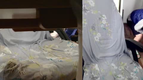 Snapshot of felixlau chatting on January 7, 2025, 7:42 am felixlau online show from January 7, 2025, 7:42 am