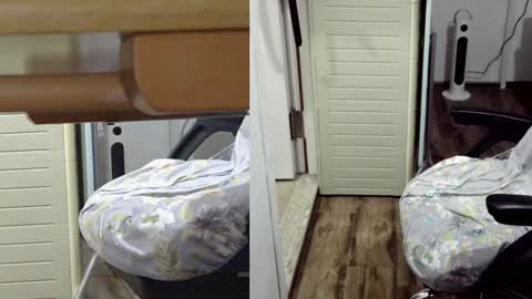 Snapshot of felixlau chatting on January 26, 2025, 12:11 pm felixlau online show from January 26, 2025, 12:11 pm