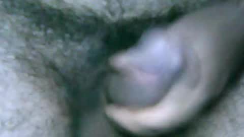 fer_2197 online show from December 28, 2024, 1:17 pm