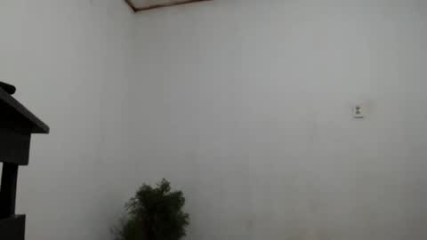 Snapshot of fernandez_latinblack chatting on December 2, 2024, 4:20 am fernandez_latinblack online show from December 2, 2024, 4:20 am