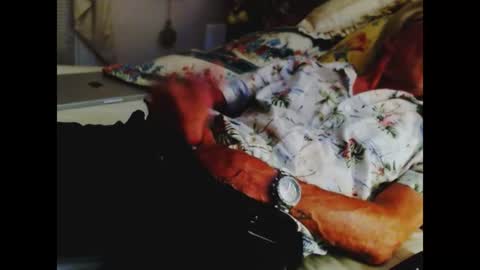 Snapshot of ferra_testarossa chatting on July 1, 2026, 5:31 am ferra_testarossa online show from July 1, 2026, 5:31 am