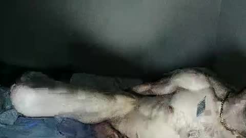 Snapshot of fetishsearch1abdl chatting on February 27, 2025, 6:18 am fetishsearch1abdl online show from February 27, 2025, 6:18 am