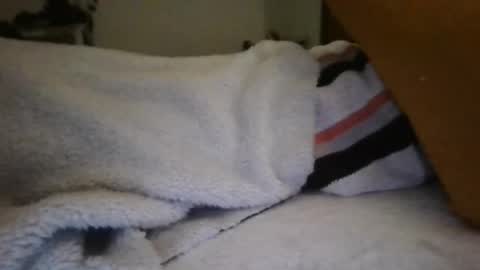 Snapshot of fierro_r chatting on January 7, 2025, 10:01 am FIERRO.R online show from January 7, 2025, 10:01 am