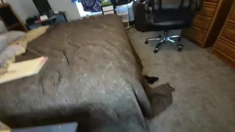 filfaonyx online show from November 4, 2025, 5:12 pm