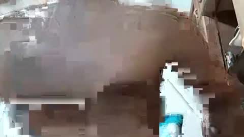 Snapshot of fitchestabs_69 chatting on December 7, 2024, 3:25 am fitchestabs_69 online show from December 7, 2024, 3:25 am