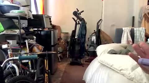 francis keith gibson online show from January 8, 2025, 2:03 pm