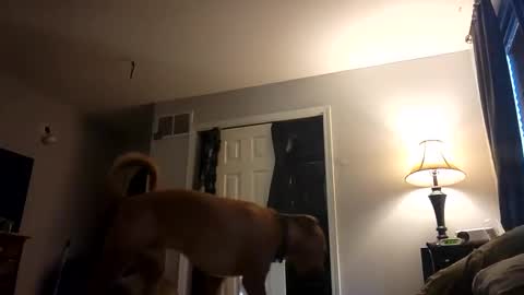 Snapshot of fkmylife6669 chatting on February 28, 2025, 1:03 pm Nate online show from February 28, 2025, 1:03 pm