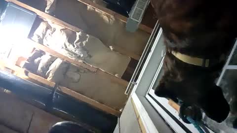 Snapshot of fkmylife6669 chatting on September 25, 2025, 2:15 am Nate online show from September 25, 2025, 2:15 am