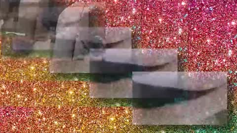 Flextle Bunny online show from January 17, 2026, 11:30 pm