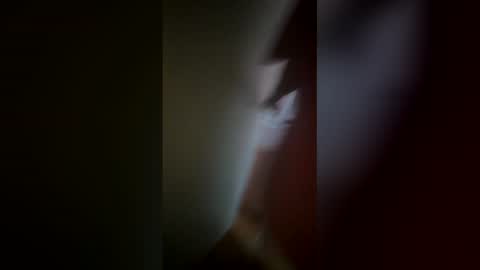 Snapshot of flirtygirlyy chatting on February 12, 2026, 8:04 pm Ive Retired From Camming online show from February 12, 2026, 8:04 pm