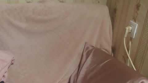 say meow and send tip  online show from February 14, 2026, 2:03 pm