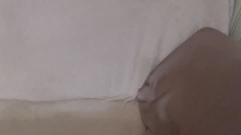 say meow and send tip  online show from July 12, 2026, 12:18 pm