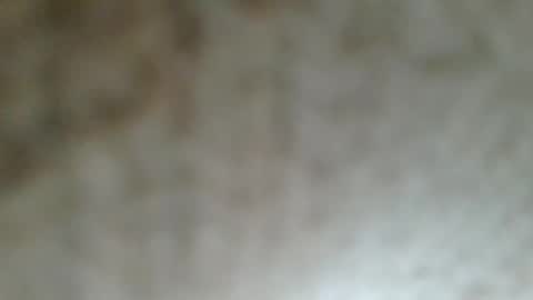 flyn12 online show from February 21, 2026, 12:11 am