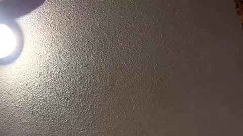 Snapshot of followthewhiterabbittail chatting on February 16, 2025, 8:10 am Have fun remembering u online show from February 16, 2025, 8:10 am