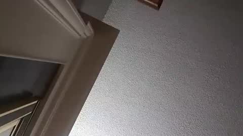 Have fun remembering u online show from October 2, 2025, 2:29 am