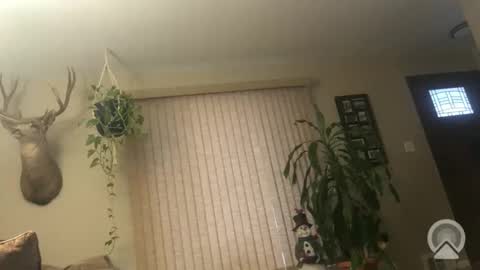 Frank online show from January 6, 2026, 1:15 pm