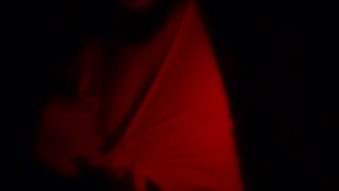 freaky_d48 online show from November 12, 2025, 9:32 am