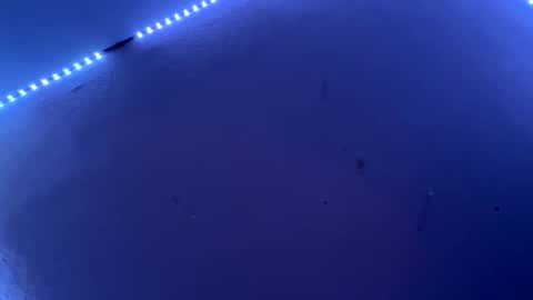 Snapshot of freakymaa chatting on June 11, 2026, 4:54 am Freakymaa online show from June 11, 2026, 4:54 am