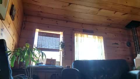 Anderson fz online show from March 1, 2026, 8:22 pm