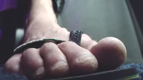 Greedy Fred online show from February 20, 2026, 2:30 am